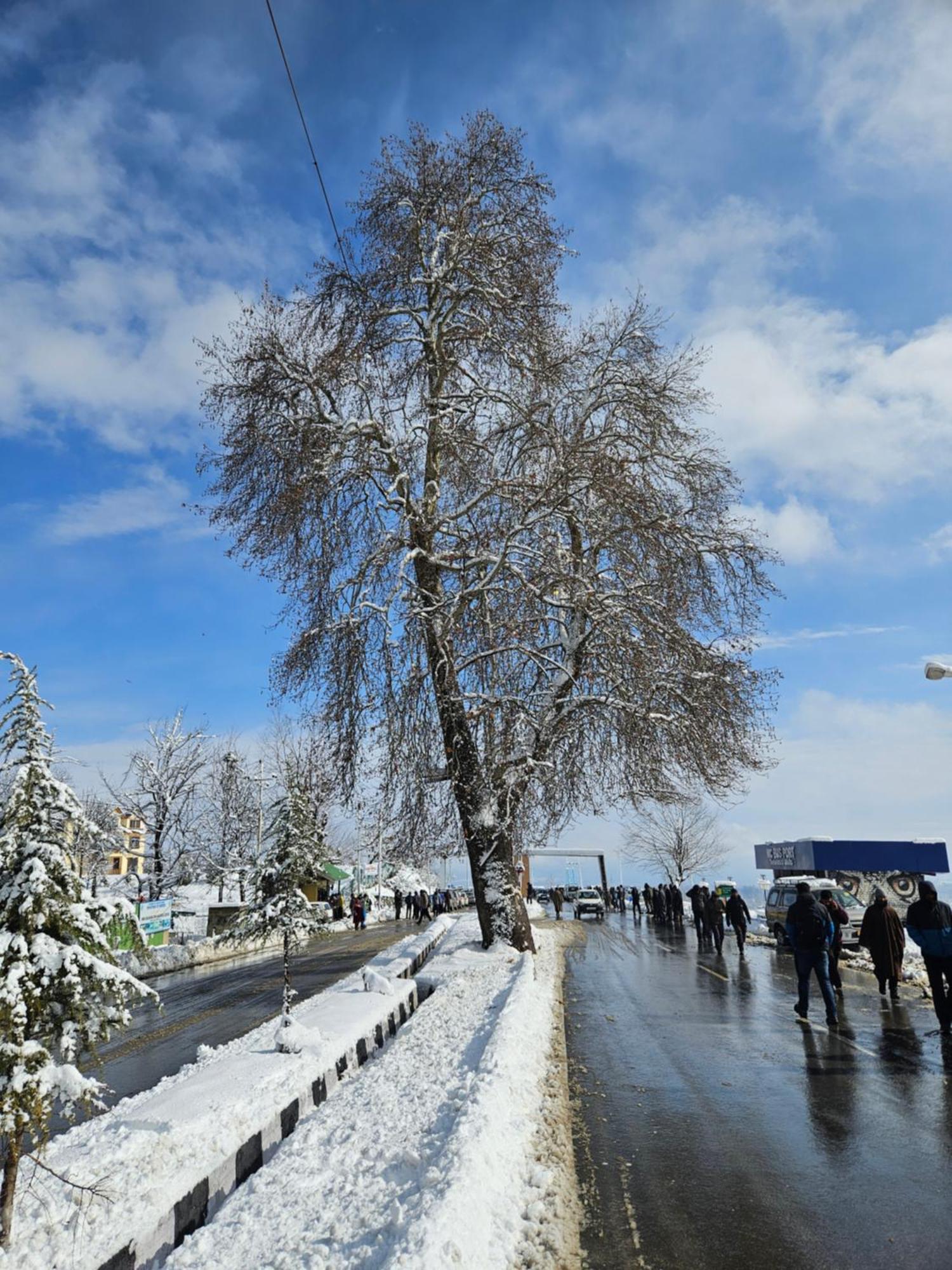Everest Guest House Gulmarg Exterior foto